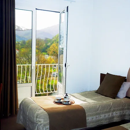 Hotel Adonis - Notre Dame De La Sarte Lourdes