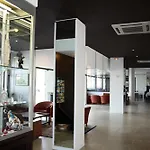 Adonis - Notre Dame De La Sarte