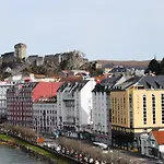 Adonis - Notre Dame De La Sarte Lourdes
