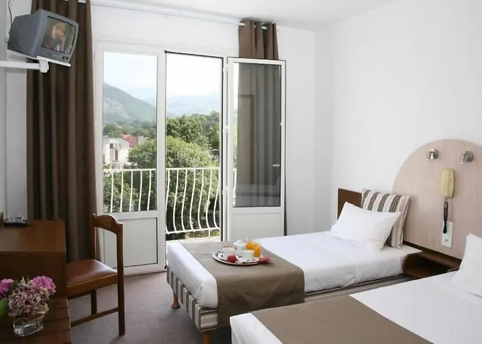 Hotel Adonis - Notre Dame De La Sarte Lourdes