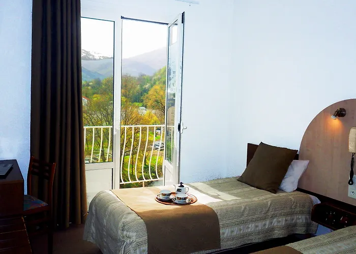 ホテル Adonis - Notre Dame De La Sarte ルルド