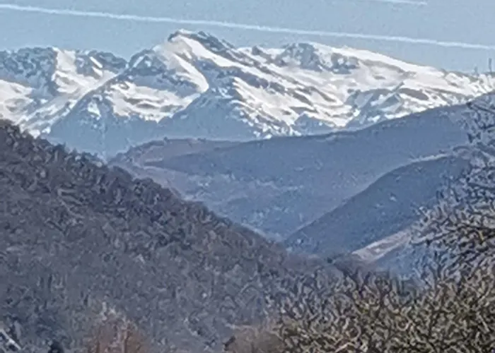 Adonis - Notre Dame De La Sarte 3*