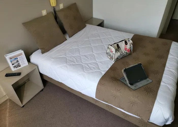 ホテル Adonis - Notre Dame De La Sarte ルルド